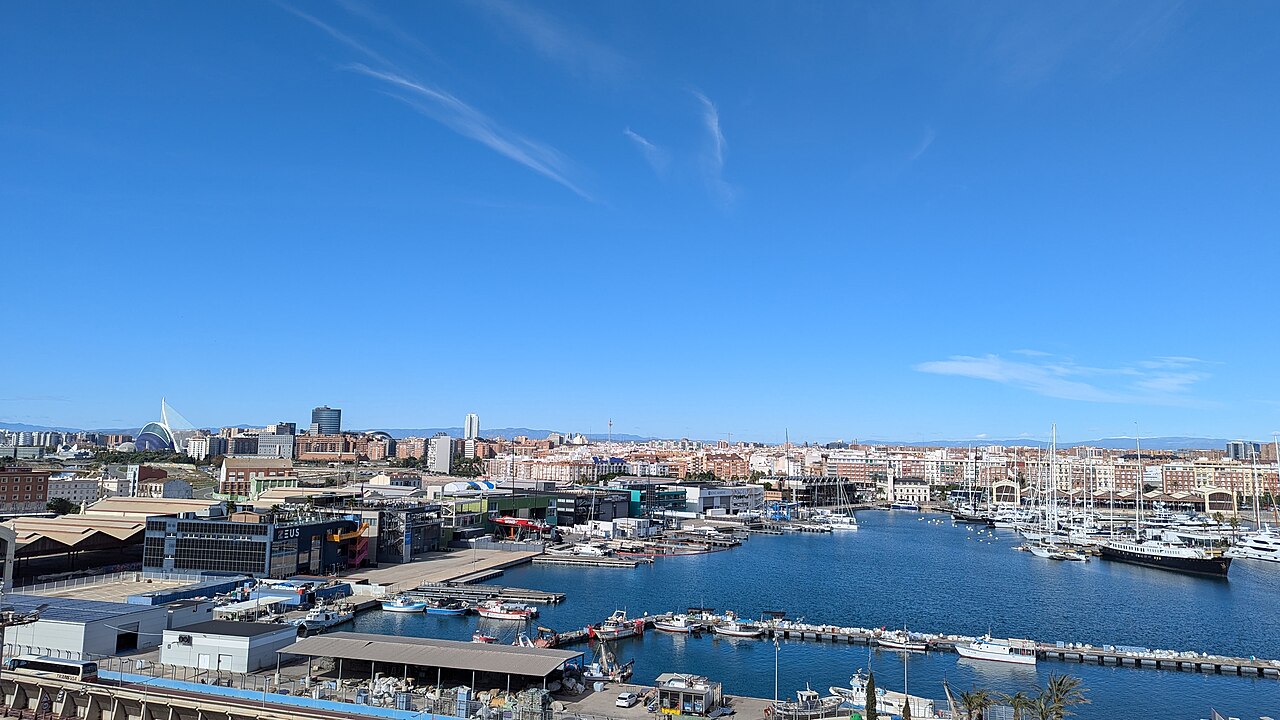 Vue de Valence et de son port.