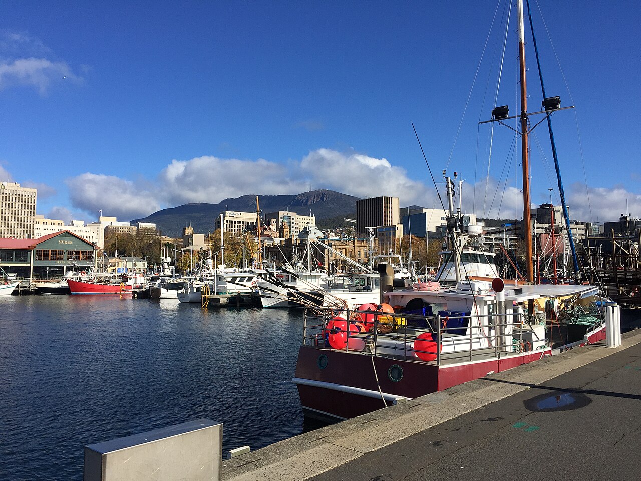 Bateaux amarrés sur le port de Hobart, avec la ville et le mont Wellington en arrière-plan.