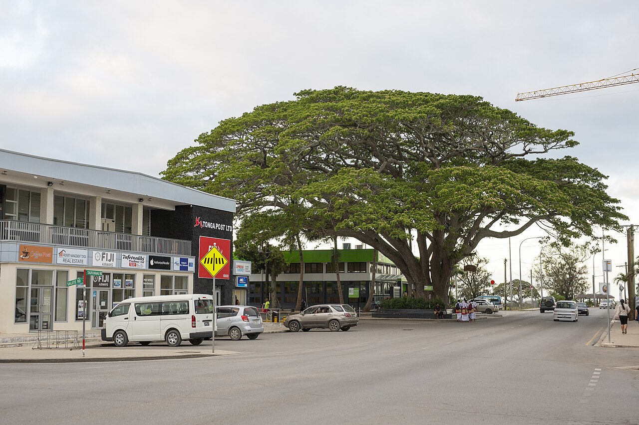 Rue du centre de Nuku’alofa avec des commerces et un grand arbre.